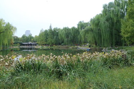 陶然亭风景  