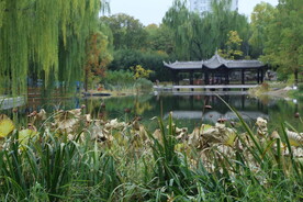 陶然亭风景  