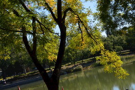 龙潭中湖风景