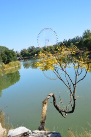 龙潭中湖风景