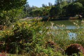 龙潭中湖风景