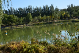 龙潭中湖风景 