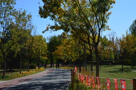龙潭中湖风景 