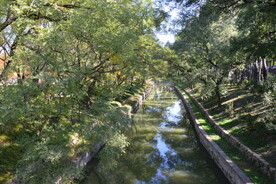 龙潭中湖风景