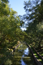 龙潭中湖风景 