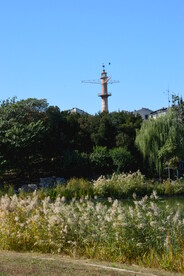 龙潭中湖风景