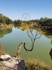 龙潭中湖风景