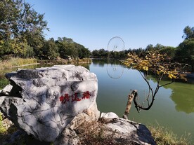 龙潭中湖风景