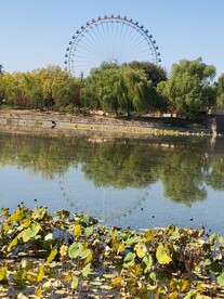 龙潭中湖风景