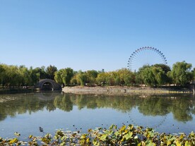 龙潭中湖风景 