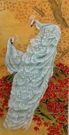 白孔雀