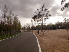 秋天的公路