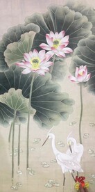 白鹳