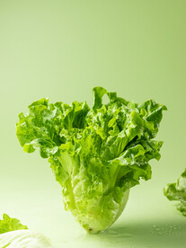 生菜