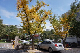 停车场
