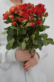 鲜花摄影
