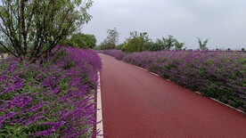 公路