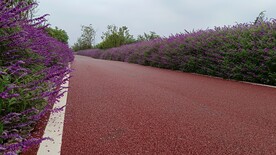 公路