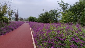 公路