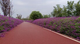 公路