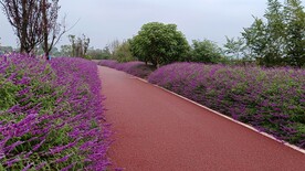 公路