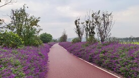 公路