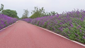 公路