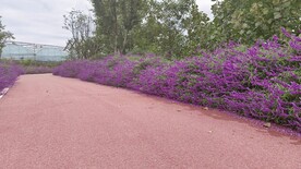 公路