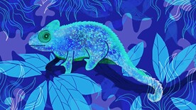 蜥蜴插画