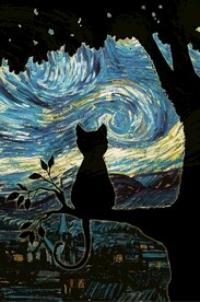 看星空的猫咪