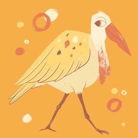 鸟类插画
