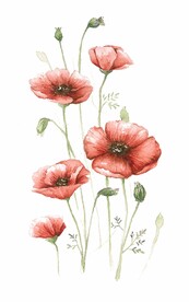 花朵插画