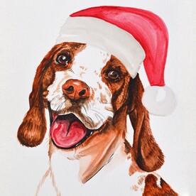 狗狗插画