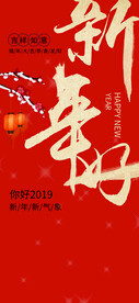 app启动页