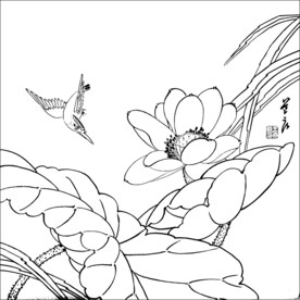 荷花线描