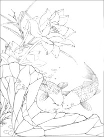荷花线描