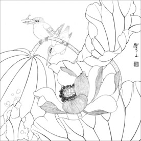 荷花线描