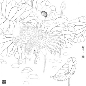 荷花线描