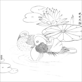 荷花线描