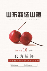 山楂海报