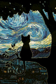 看繁星的小猫咪