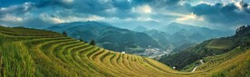茶山