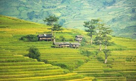 田间小屋