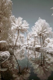 雪景