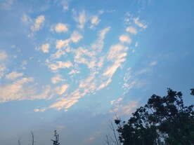 蓝天白云树木