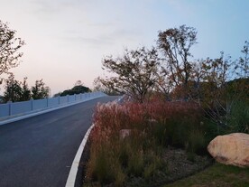 秋天的公路