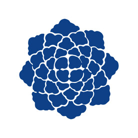 青花纹样