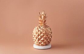 菠萝模型