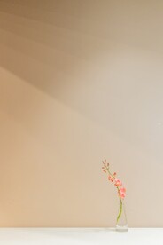 清新背景