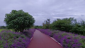 公路